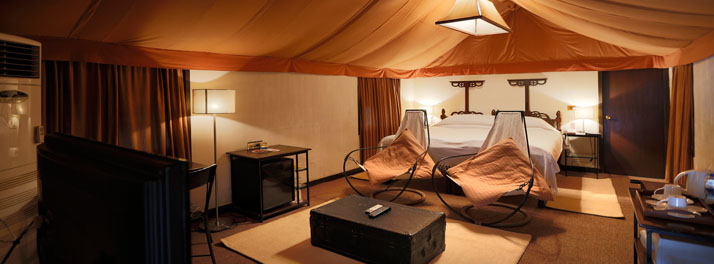 1895/Ajit Bhawan - Jodhpur 015.jpg